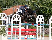 LUPINO Biricchina bella GioCav2013 S6 7564 : Biricchina bella, Campionati Italiani Giovani Cavalli, Cattolica, LUPINO NICO, ph Stefano Secchi ©